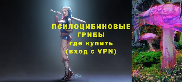СК Белокуриха