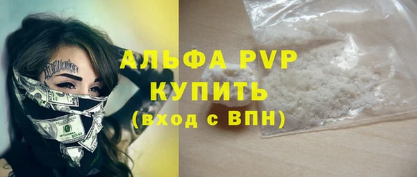 шишки Беломорск