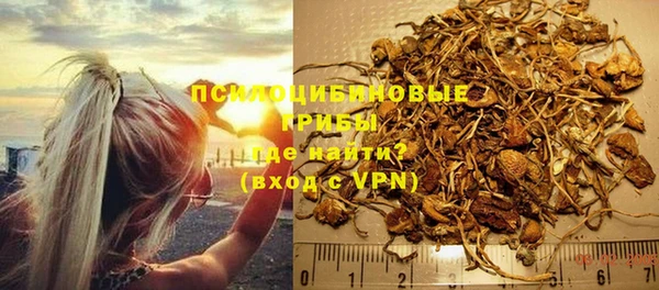 шишки Беломорск