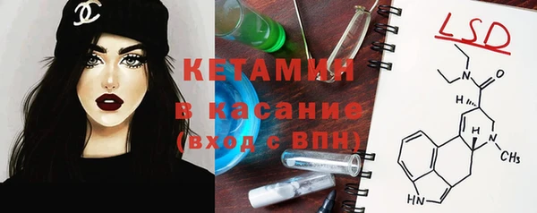 шишки Беломорск