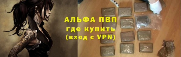 шишки Беломорск