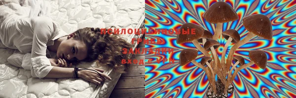2c-b Белоозёрский