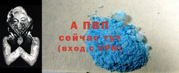 СК Белокуриха