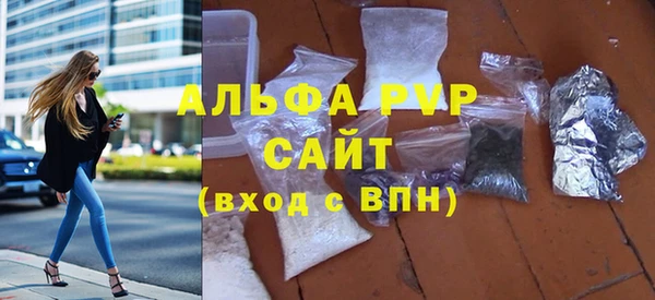СК Белокуриха