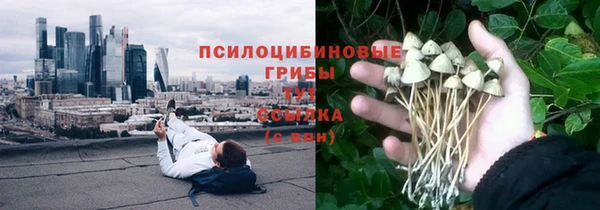 2c-b Белоозёрский