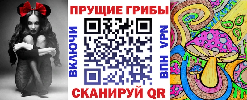 Псилоцибиновые грибы Psilocybe  цена наркотик  Северская 